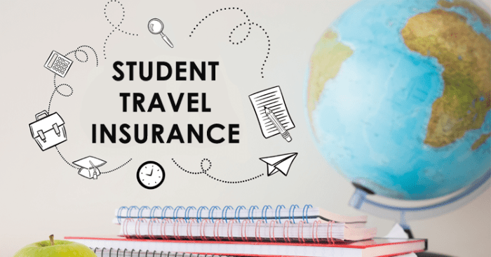 Abroad studying travel insurance student buy regular plan over dailypioneer aspects source Abroad studying travel insurance student buy regular plan over dailypioneer aspects source